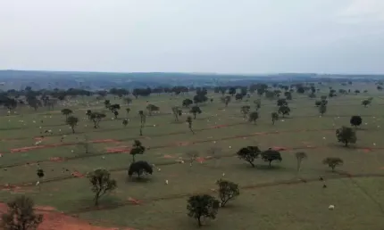 Fazenda para venda na região de Amambai-MS com 870 hectares na pecuária, toda formada, benfeitorias