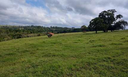 Excelente fazenda para venda na região de Itapetininga-SP com 49 alqueires, montada na pecuária, boa de benfeitorias, modalidade porteira fechada