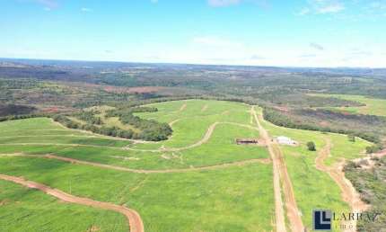 Fazenda para venda na região de Guiratinga-MT com 380 hectares em pastagem, rica em agua, benfeitorias e beira do asfalto