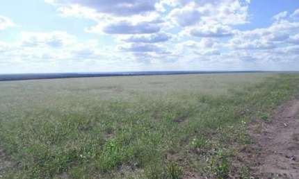 Fazenda para venda na regiao de Bom Jesus-PI com 1.299  hectares, sendo 200 hectares abertos para lavoura, benfeitorias
