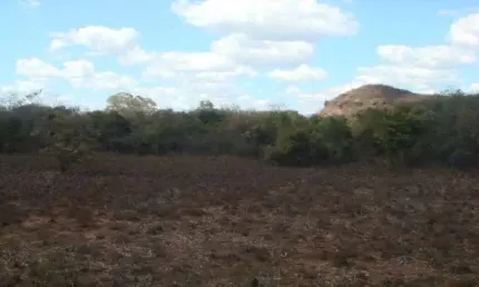 Fazenda grande extensão para venda na região de Parnagua-PI com 16.900 hectares total, parte em pastagem, muita madeira, rica em agua e benfeitorias
