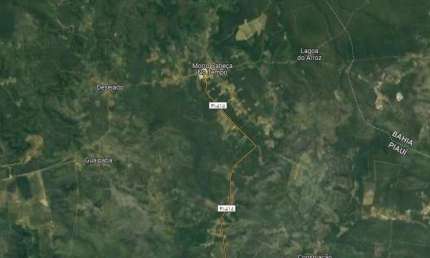 Fazenda grande extensão para venda na região de Morro Cabeça no Tempo-PI com 4.900 hectares em vegetação nativa, fazenda bruta