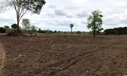 Fazenda para venda em Peixe-TO com 122,23 hectares em pastagem formada, beira de rio, casa, energia, curral e muita madeira
