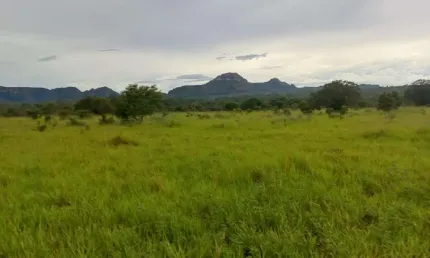 Fazenda dupla aptidão para venda na região de Centenario-TO com 3.100 hectares, aproveita 1.500 hectares para lavoura, boa de agua, benfeitorias