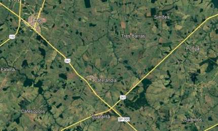 Fazenda na pecuária para venda na região de Cafelândia-SP com 105 alqueires boa de infraestrutura é boa de água