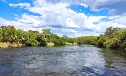 Fazenda bruta para venda no Norte de Minas na região de Montalvania-MG com 4.300 hectares, boa de agua, rio na propriedade