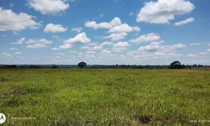 Fazenda dupla aptidão para venda na regia de Jales-SP com 77 alqueires, benfeitorias, terra de cultura, aproveita 90%
