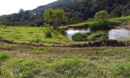 Excelente sitio para venda ou incorporação em Mairinque-SP com 12 alqueires sendo 6 alqueires em pastagem, próximo de condomínios