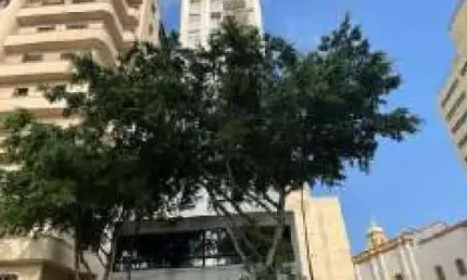 Oportunidade. apartamento para venda em são paulo-sp no bela vista, ed. flor de lys, 2 dormitorios, suite, area privativa 176 m2