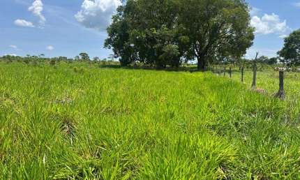 Fazenda dupla aptidão para venda na região de Campo Grande-MS com 163 alqueires, atual na pecuária, rica em agua, ideal para lavoura de soja
