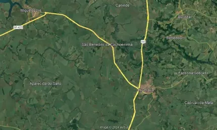 Excelente sitio para venda em Ituverava-SP com 13,6 alqueires, terra de primeira massape, aproveita 95% para lavoura, beira da rodovia, rico em agua