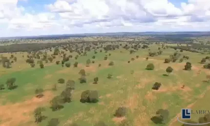 Ótima fazenda na pecuaria para venda em Itaruma-GO com 503 hectares, benfeitorias, boa de agua e topografia plana