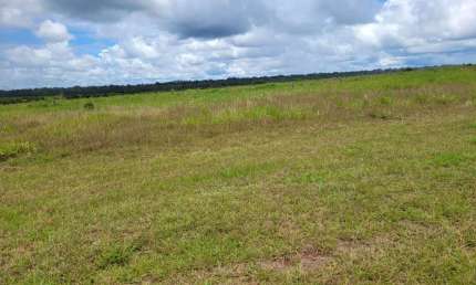 Fazenda dupla aptidao para venda na região de Matupa-MT com 35.000 hectares montada na pecuária, rica em agua e benfeitorias