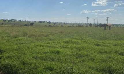 Fazenda dupla aptidao para venda na região de Jales-SP com 90 alqueires na pastagem, planta 80 alqueires, benfeitorias