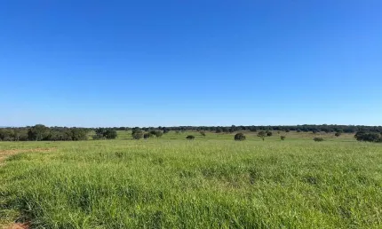 Fazenda para venda na região de Inocencia-MS com 98 alqueires na pecuária, boa de agua e de benfeitorias