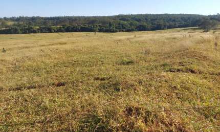 Fazenda dupla aptidao para venda na região de Ituiutaba-MG com 175 hectares na pecuária, pode plantar 140 hectares em cana ou soja