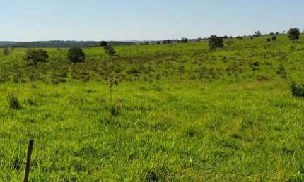 Fazenda para venda na região de Camapua-MS com 940 hectares na pecuária, rica em agua e completa em benfeitorias