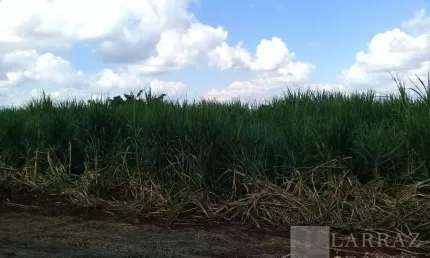 Fazenda para venda na região de são carlos-sp, com 399 alqueires sendo 290 alqueires em cana mais pasto, muitas benfeitorias