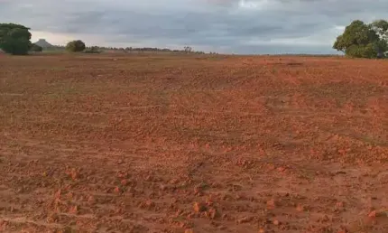 Fazenda dupla aptidao para venda na região de Barra do Garças-MT com 990 hectares, montada na pecuária, rica em agua e benfeitorias