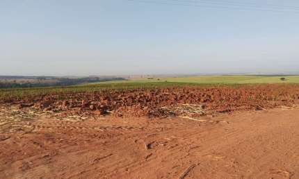 Fazenda dupla aptidao para venda na região de Lins-SP com 115 alqueires em cana e pastagem, fazenda completa