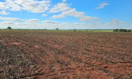 Fazenda para venda na região de Presidente Prudente-SP com 60 alqueires sendo 50 alqueires agricultáveis para cana, soja, algodão e etc