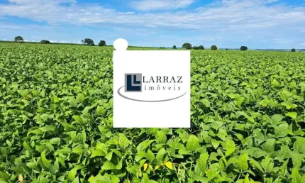 Fazenda para venda na região de Itabera-SP com 998 hectares sendo 750 hectares agricultáveis, benfeitorias, ao lado da cidade