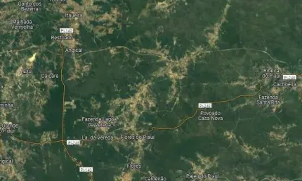 Fazenda bruta para venda na região de Flores do Piaui-PI com 1.750 hectares, madeira em abundancia, boa de agua, beira do asfalto, benfeitorias