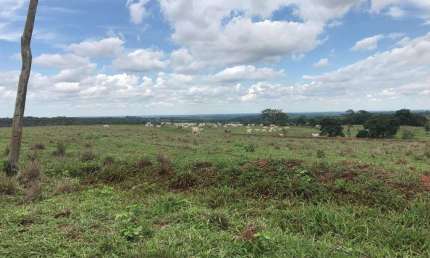 Fazenda para venda na região de Jales-SP com 81 alqueires na pecuária, completa em benfeitorias, rica rem agua