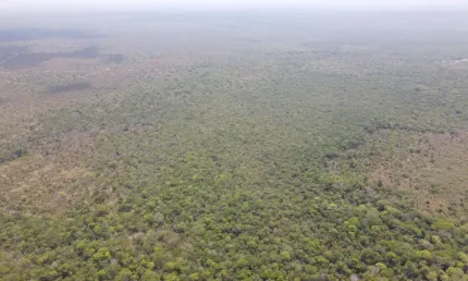 Fazenda para venda na região de Nova Nazare-MT com 836 alqueires na pecuária, boa de benfeitorias, boa de agua