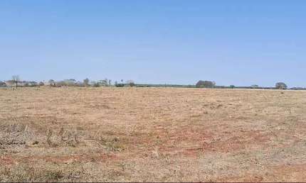 Sitio para venda na região de Ouroeste-SP com 28 alqueires sendo 26alqueires em cana arrendada, plana, terra massape