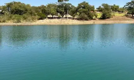 Excelente lote para rancho a venda em delfinopolis-sp com 7.000 m2 de área, mais de 30 m de margem pra represa, já cercado e terraplenagem feita