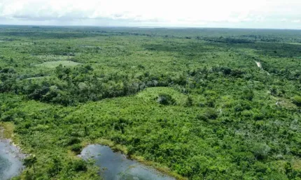 Fazenda para venda na região de humberto de campos-ma com 12.500 hectares sendo 10.000 hectares consolidados, restante app e reserva