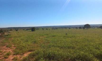 Fazenda para venda na região de Ribas do Rio Pardo-MS com 493 alqueires montada na pecuária, rica em agua e ótima localização