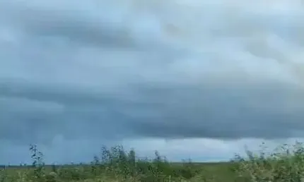 Fazenda dupla aptidão para venda na região de Confresa-MT com 815 hectares formada em pastagem, rica em agua e benfeitorias