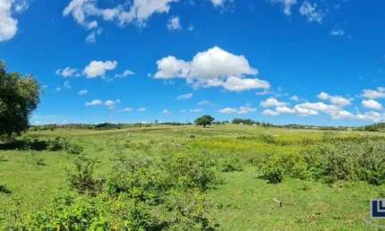 Fazenda tripla aptidao para venda em Araruama-RJ com 244 hectares montada na pecuária, eucaliptos e ideal para incorporação
