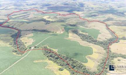 Fazenda dupla aptidao para venda em Sacramento-MG com 241 hectares em pastagem, lavoura e eucalipto, benfeitorias, rica em agua
