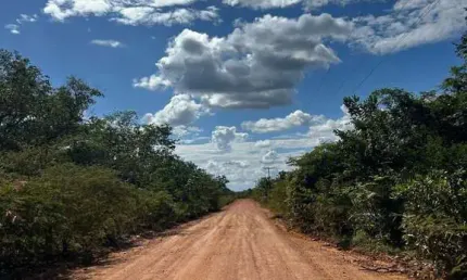 Fazenda bruta para venda na região de Santa Luz-PI com 5.400 hectares, área de baixao com Cerradão, riacho na propriedade