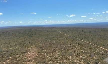 Fazenda bruta grande extensão para venda na região de Xique-Xique-BA com 140.000 hectares, ideal para lavoura, abundante em agua para irrigação