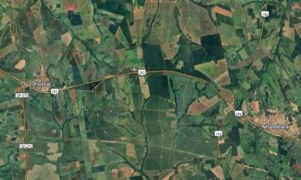 Fazenda para venda na região de Floreal-SP com 46 alqueires sendo 37 alqueires em cana arrendada, beira do asfalto, ótima localização