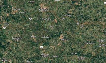 Fazenda dupla aptidao para venda na região de São Sebastiao do Paraiso-MG com 174 hectares, café, eucalipto e pecuária, porteira fechada, rica em agua