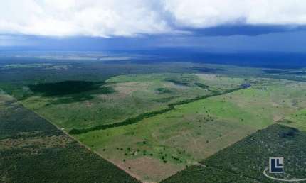 Fazenda dupla aptidao para venda na região de Duere-TO com 1.339 hectares, excelente logística, benfeitorias, rica em agua, terra preta de cultura