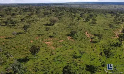 Sitio dupla aptidao para venda em Lassance-MG com 75 hectares, ideal para café, benfeitorias e rica em agua