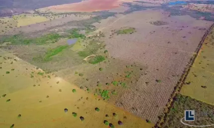 Fazenda dupla aptidao para venda em Unai-MG com 537,10 hectares, boa de agua e benfeitorias para pecuária