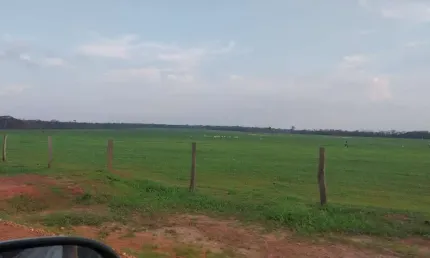 Fazenda para venda na região de são jose do rio claro-mt com 800 hectares na pecuária, muitas benfeitorias, pronta para trabalhar