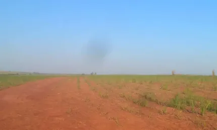 Fazenda para venda na região de Araçatuba-SP com 415 alqueires sendo 350 alqueires em cana arrendada, rica em agua, beira da represa, terra de cultura