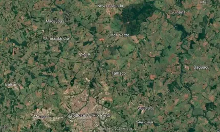 Fazenda dupla aptidao para venda na região de São Jose do Rio Preto-SP com 190 alqueires em pastagem, seringueira e cana, rica em agua