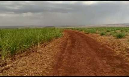 Sitio para venda em Igarapava-SP com 13 alqueires sendo 12,5 alqueires em cana,, terra de cultura, proximo de varias Usinas