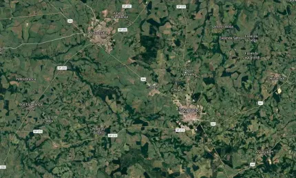 Fazenda para venda na região de são carlos-sp, com 79 alqueires, aproveitamento 80%, 56 mil pes citrus, 100% irrigado, beira da pista, boa de benfeito
