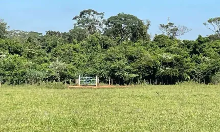 Sitio para venda na região de São Jose do Rio Preto-SP, 25 alqueires montado na pecuária, córrego e represa, casa sede e muitas benfeitorias
