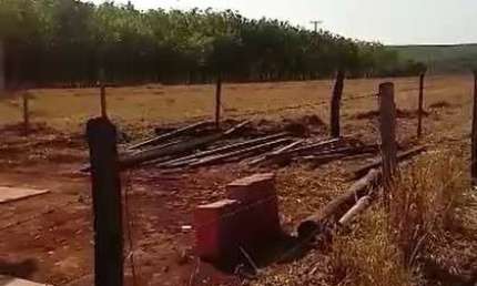 Sitio para venda em Barretos-SP, com 20 alqueires sendo 14 alqueires entre pasto e 7 mil pés de seringueira mais benfeitorias